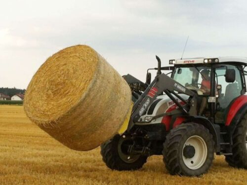 Praxistag bei EM-Chiemgau
