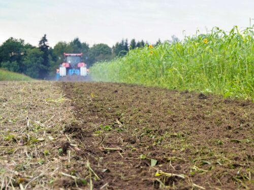 Feldtag Bodenbearbeitung