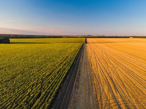 Landwirtschaft mit EM