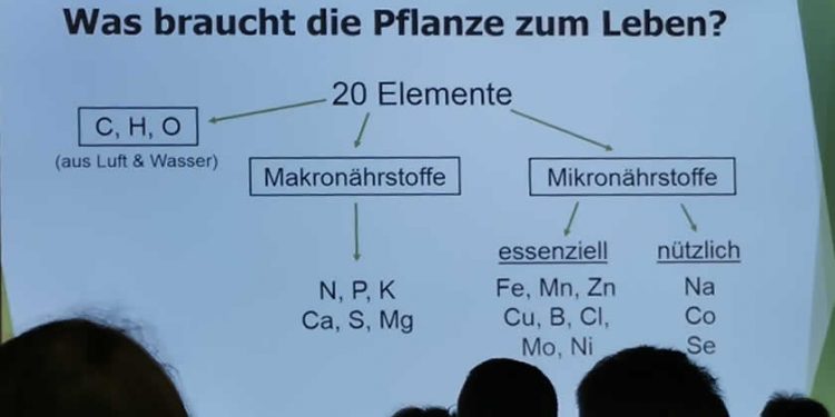 Chrsitophel-was braucht-die-Pflanze-zum-Leben-Vortrag-Ackerbau-EM-Chiemgau