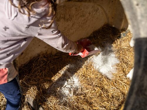 einstreu mit ropro gesteinsmehl