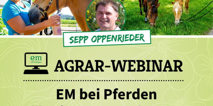 Webinar-EM-Pferde-Sepp-Oppenrieder