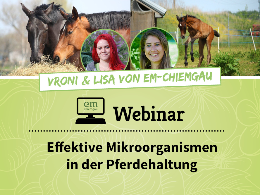 Effektive Mikroorganismen in der Pferdehaltung Webinar