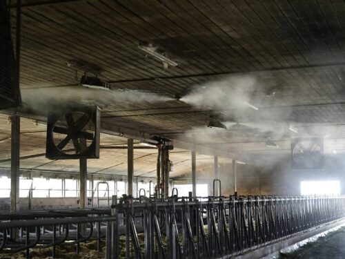 stallklima verbessern im stall mit cfke