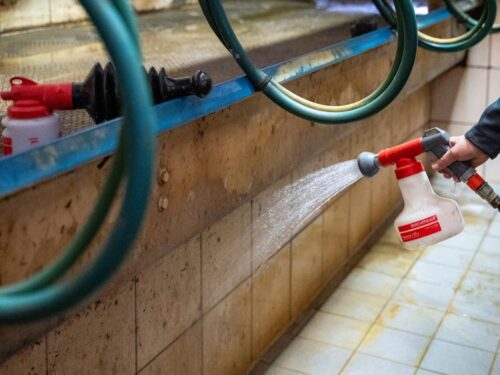 melkstandreinigung probiotische reinigung