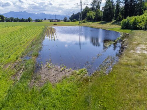 überflutetes feld verdichtung überschwemmung was tun