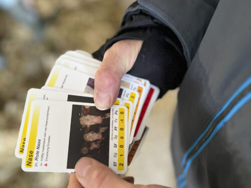 241118 Obsalim Seminar Mechthild Knoesel 53