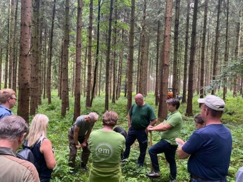 Blogformat Bodenansprache Wald