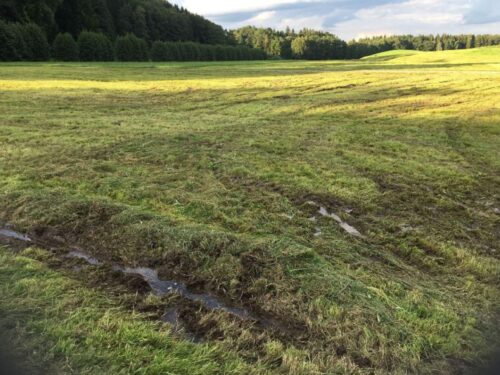 Flächenrotte bei nassem Wetter