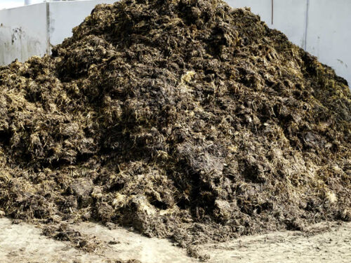 Misthaufen-mit-EM-Kohle-Gesteinsmehl-bei-Dauner-Biohof-EM-Chiemgau