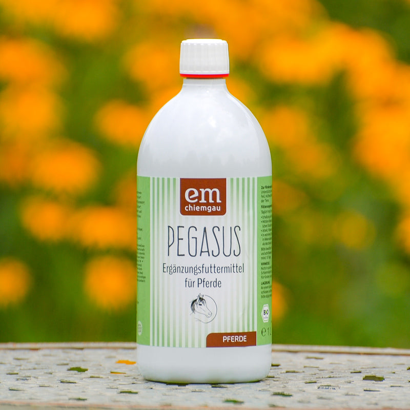 Pegasus Ergaenzungsfuttermittel Pferde 1L Flasche | EM im Pferdebereich