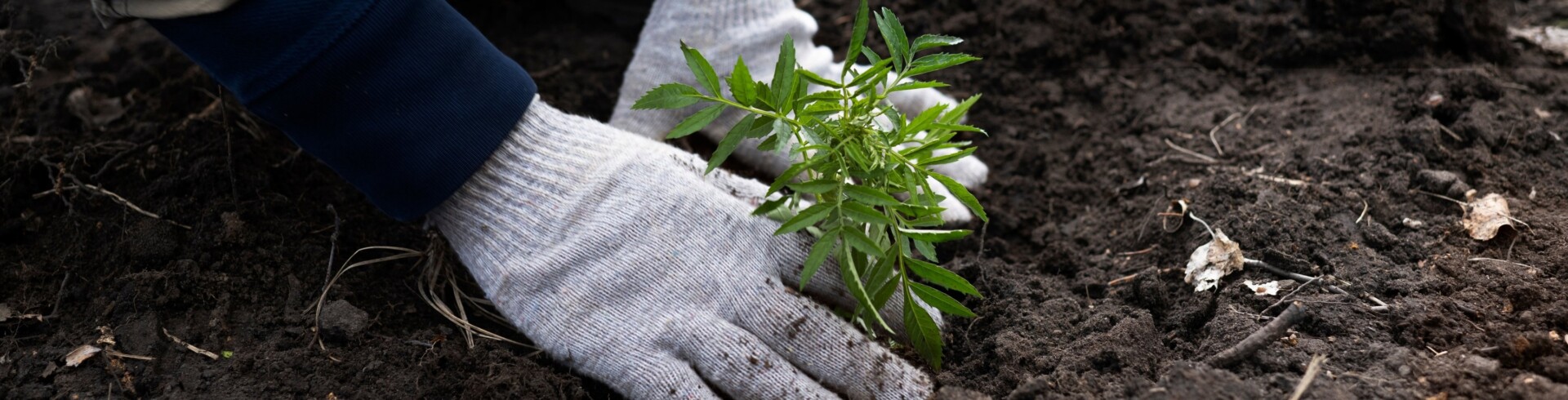 Chiemgau Agrar: Humus-Aufbau mit regenerativer Landwirtschaft