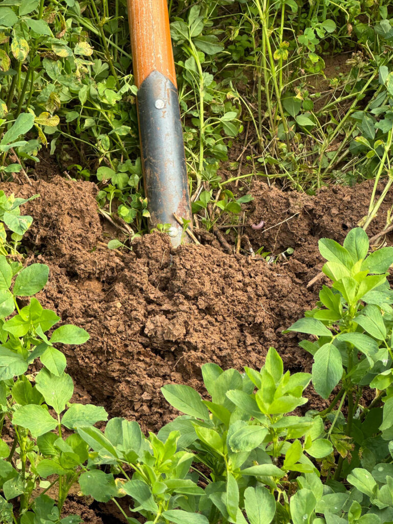 Regenerative Landwirtschaft Praxis | Garer Boden