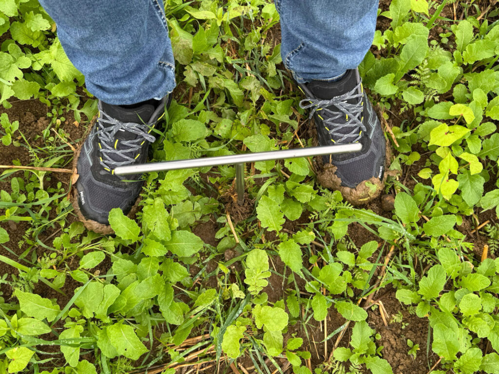 Regenerative Landwirtschaft Praxis |Bodensonde