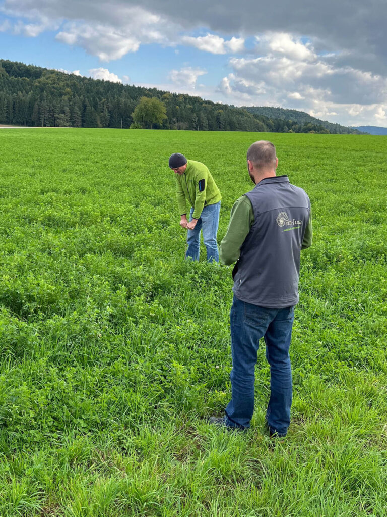 Regenerative Landwirtschaft Praxis | Sondieren