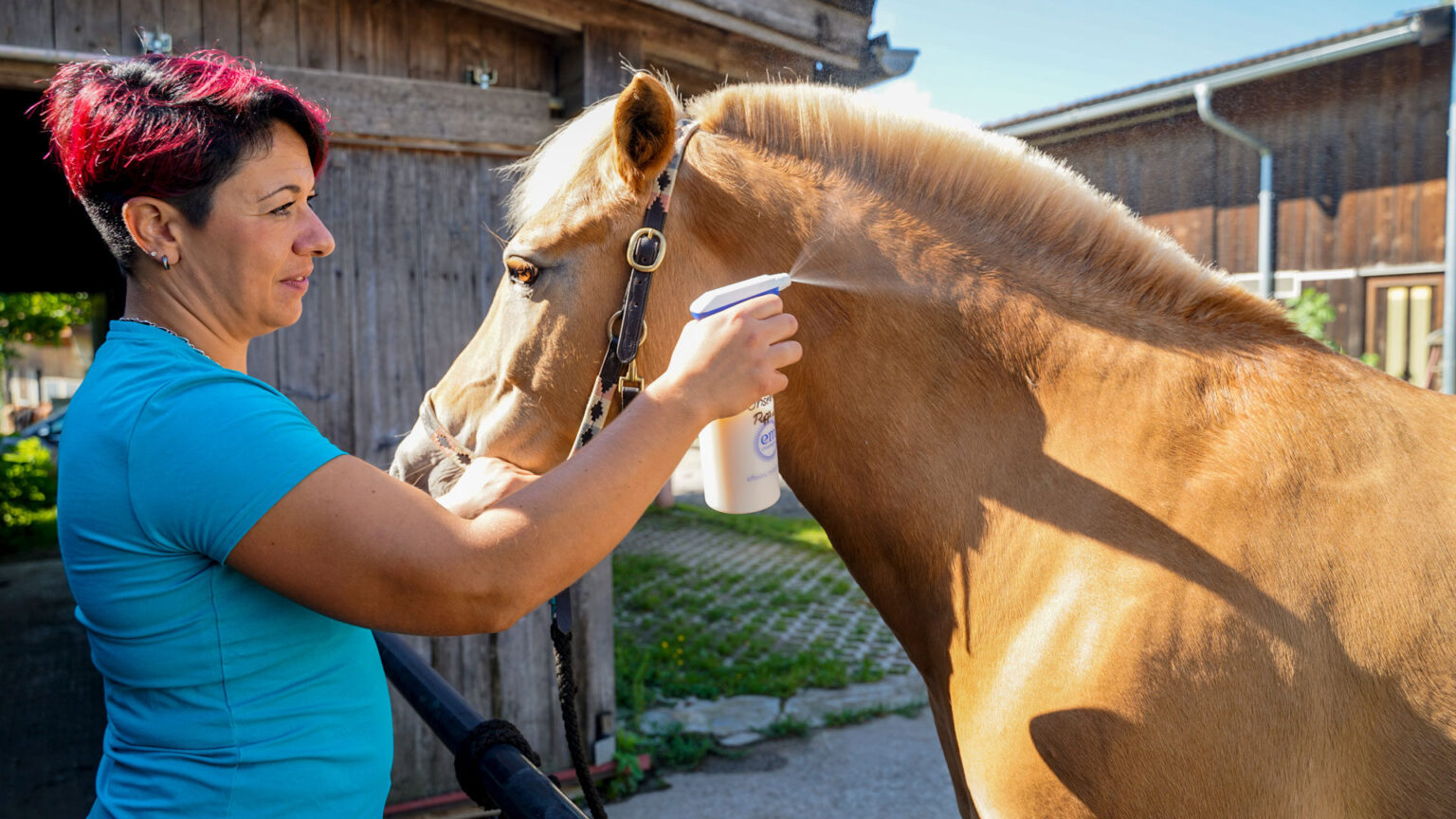 210805 EM Fuer Pferde Fellpflege Insektenspray Mit Neemoel Scharfes Blond Ppt Blog 2 1