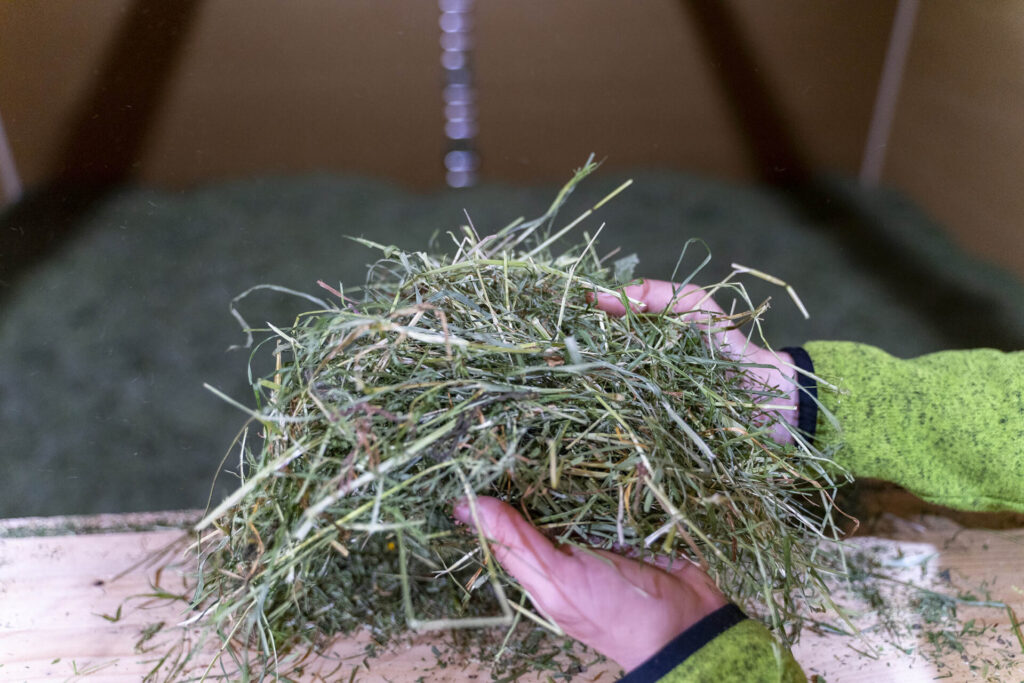 Regenerative Landwirtschaft im Grünland