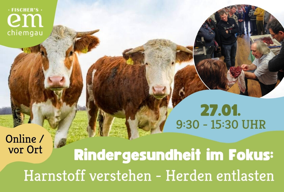 Duales Tagesseminar Rindergesundheit Im Fokus Harnstoff Verstehen Herden Entlasten 27.01.2026 3