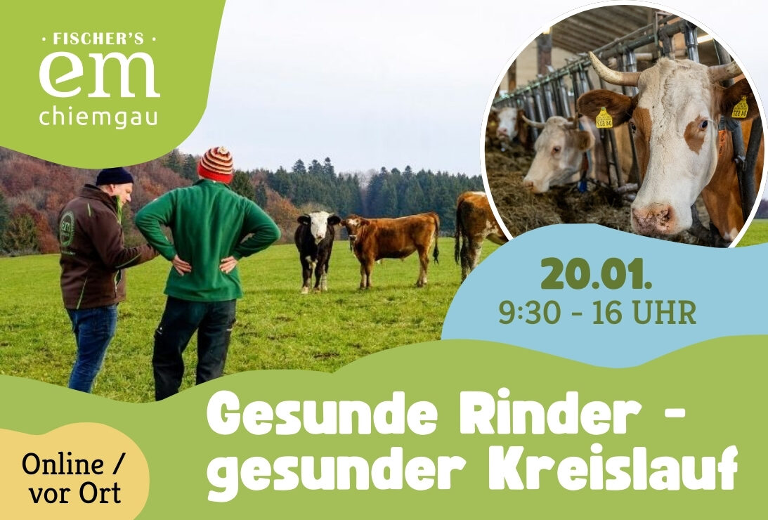 Duales Tagesseminar Gesunde Rinder Gesunder Kreislauf 20.1.2026 2
