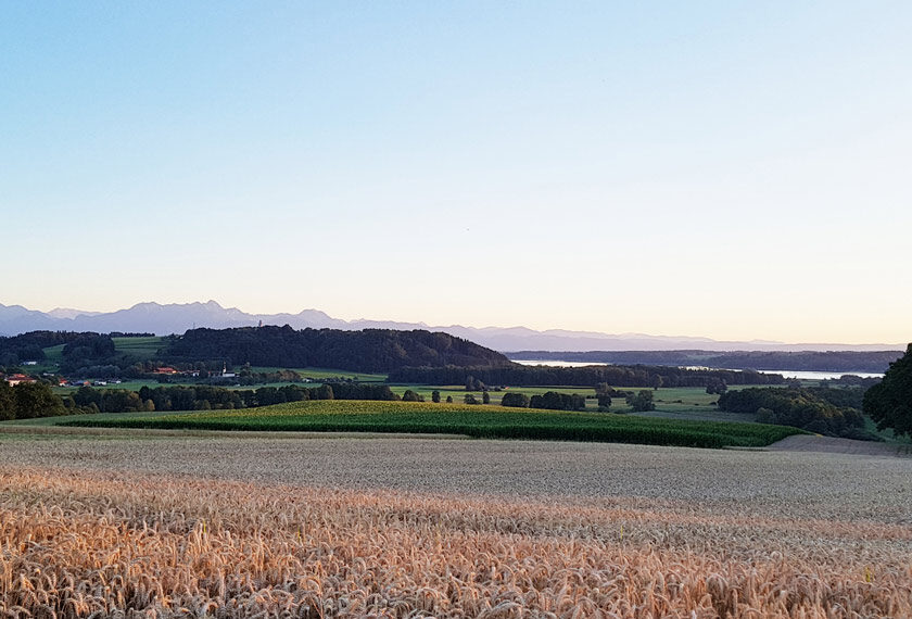 Effektive Mikroorganismen In Der Landwirtschaft 2