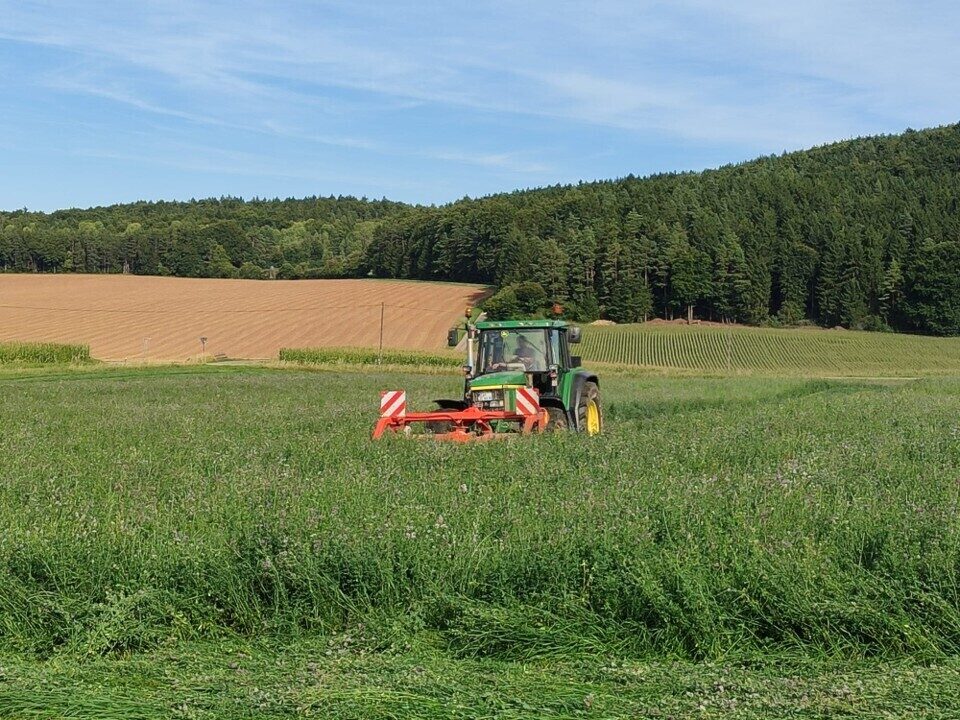 Eichenseer 2025 Kleegras