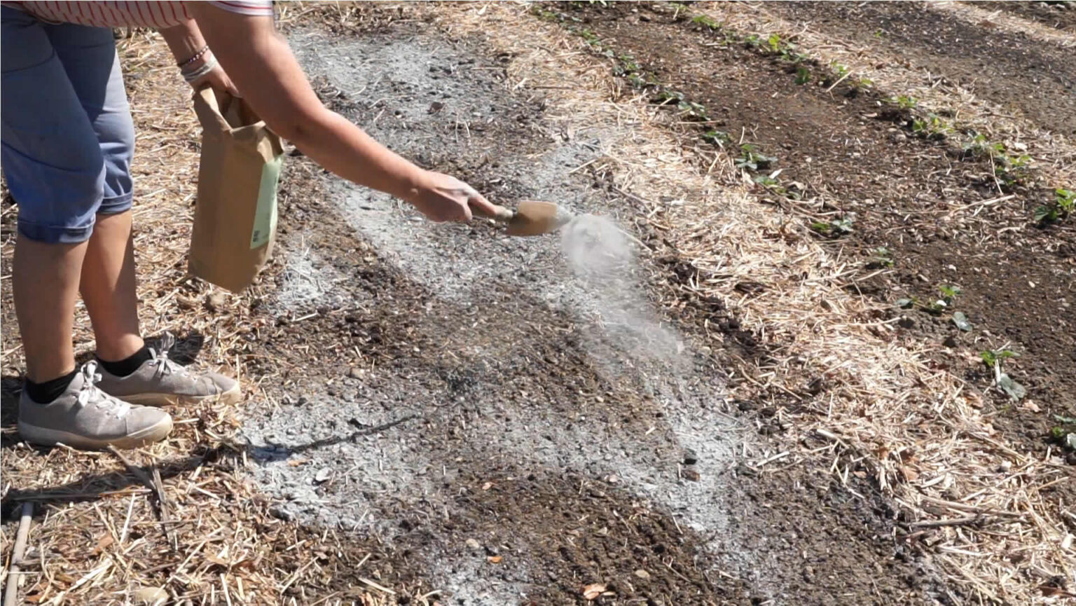 Gemuesebeet Anlegen RoPro Lit Gesteinsmehl Ausbringen Duengen EM Chiemgau