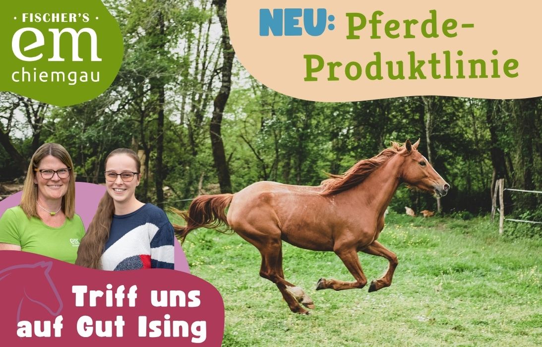 Gut Ising Pferde Produktlinie