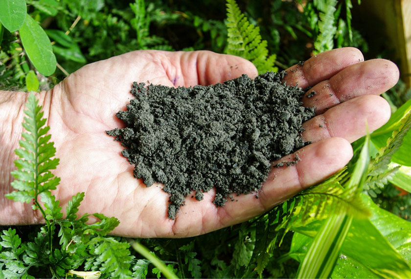 Interview Lorch Terra Preta EM Chiemgau