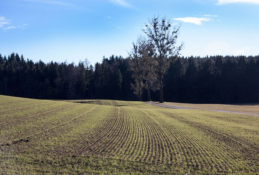 Regenerativer Ackerbau EM Chiemgau