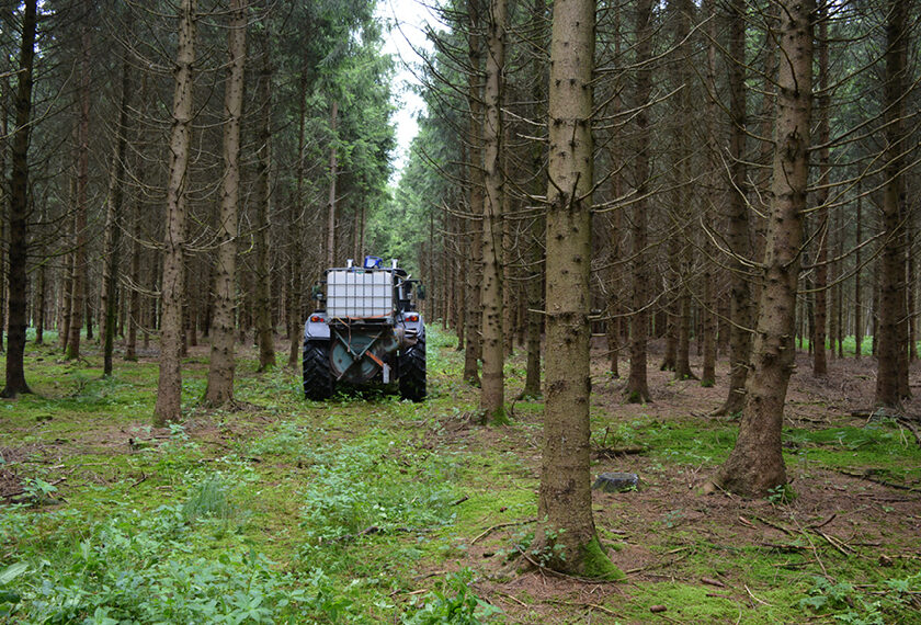 Wald Borkenkaefer Blog 3